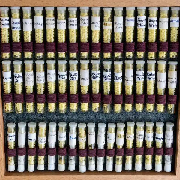 Homöopathische Mittel und Globuli Sammlung